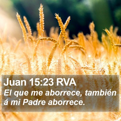 Juan 15:23 RVA Bible Verse Image