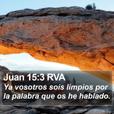 Juan 15:3 RVA Bible Verse Image