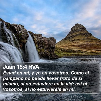 Juan 15:4 RVA Bible Verse Image