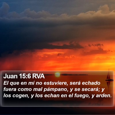 Juan 15:6 RVA Bible Verse Image