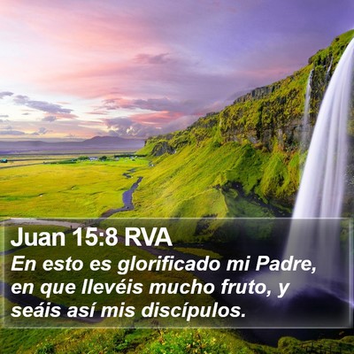 Juan 15:8 RVA Bible Verse Image