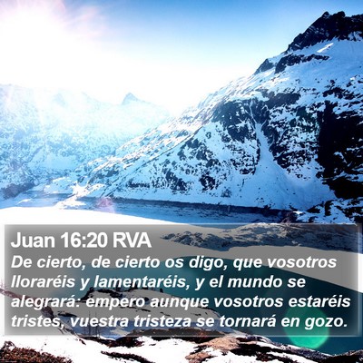 Juan 16:20 RVA Bible Verse Image