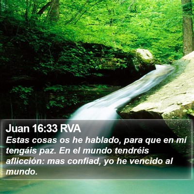 Juan 16:33 RVA Bible Verse Image