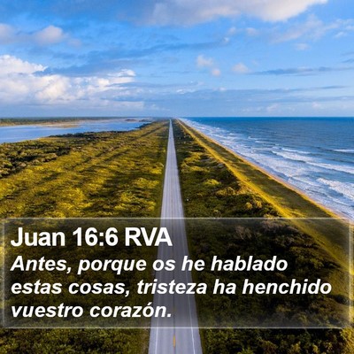 Juan 16:6 RVA Bible Verse Image