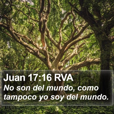 Juan 17:16 RVA Bible Verse Image