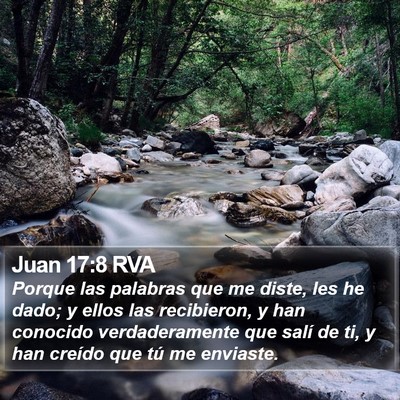 Juan 17:8 RVA Bible Verse Image