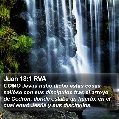 Juan 18:1 RVA Bible Verse Image