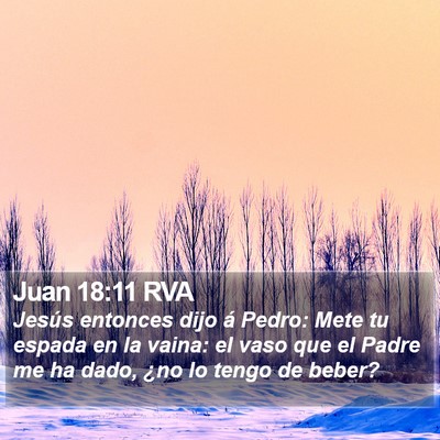 Juan 18:11 RVA Bible Verse Image