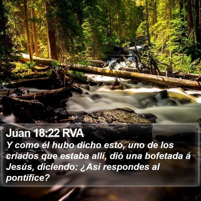 Juan 18:22 RVA Bible Verse Image