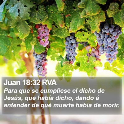 Juan 18:32 RVA Bible Verse Image