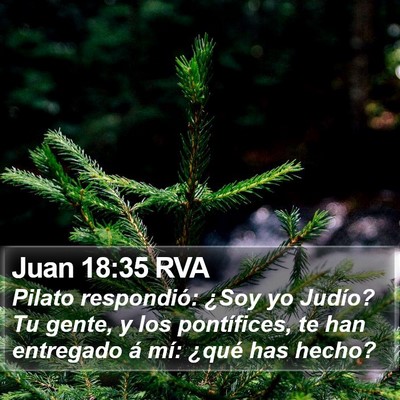 Juan 18:35 RVA Bible Verse Image