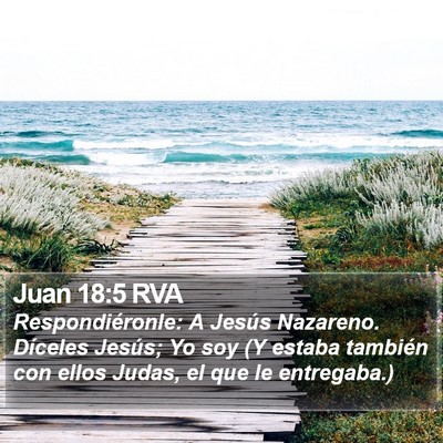 Juan 18:5 RVA Bible Verse Image