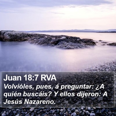 Juan 18:7 RVA Bible Verse Image