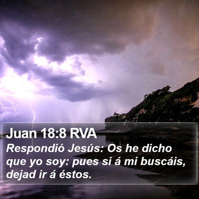 Juan 18:8 RVA Bible Verse Image