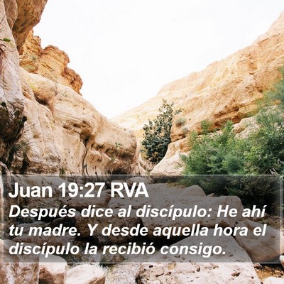 Juan 19:27 RVA Bible Verse Image