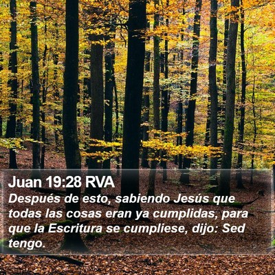 Juan 19:28 RVA Bible Verse Image