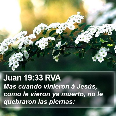 Juan 19:33 RVA Bible Verse Image
