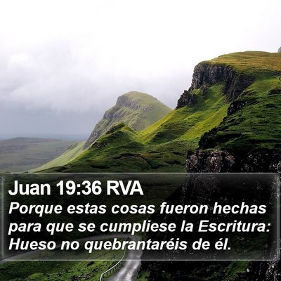 Juan 19:36 RVA Bible Verse Image