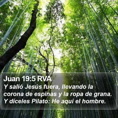 Juan 19:5 RVA Bible Verse Image