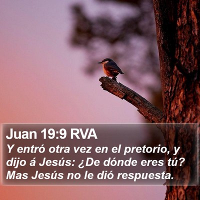 Juan 19:9 RVA Bible Verse Image