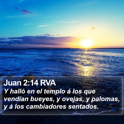 Juan 2:14 RVA Bible Verse Image