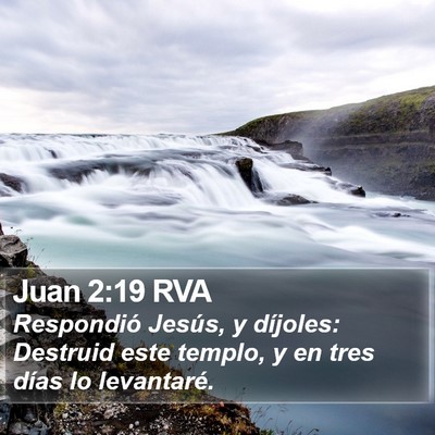 Juan 2:19 RVA Bible Verse Image