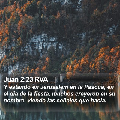 Juan 2:23 RVA Bible Verse Image