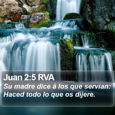 Juan 2:5 RVA Bible Verse Image