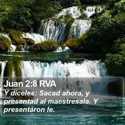 Juan 2:8 RVA Bible Verse Image