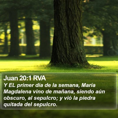 Juan 20:1 RVA Bible Verse Image