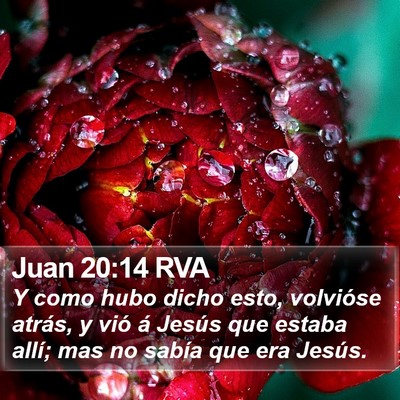 Juan 20:14 RVA Bible Verse Image