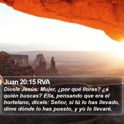 Juan 20:15 RVA Bible Verse Image
