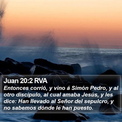 Juan 20:2 RVA Bible Verse Image