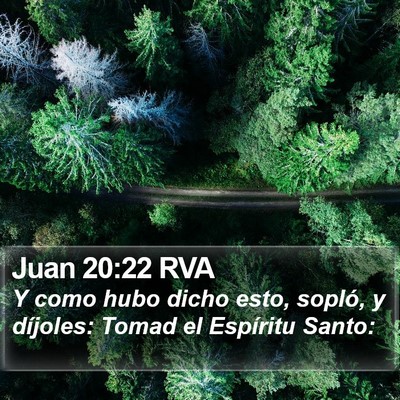 Juan 20:22 RVA Bible Verse Image