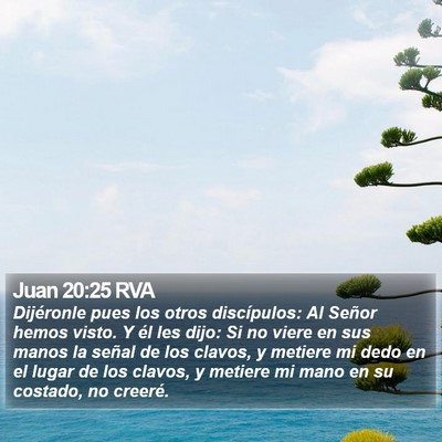 Juan 20:25 RVA Bible Verse Image