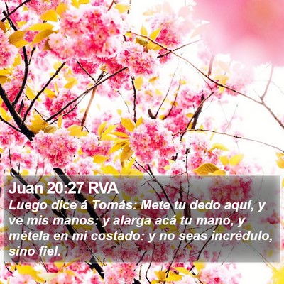 Juan 20:27 RVA Bible Verse Image