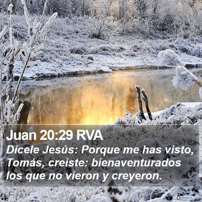 Juan 20:29 RVA Bible Verse Image
