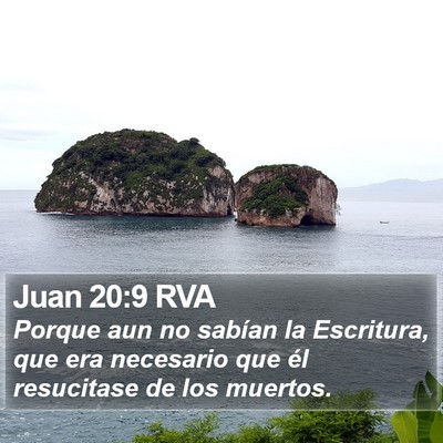 Juan 20:9 RVA Bible Verse Image