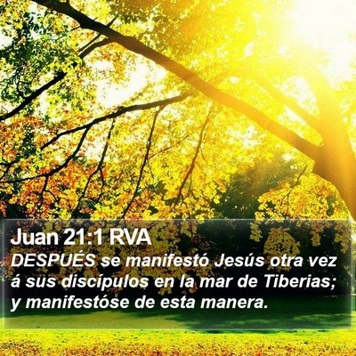 Juan 21:1 RVA Bible Verse Image