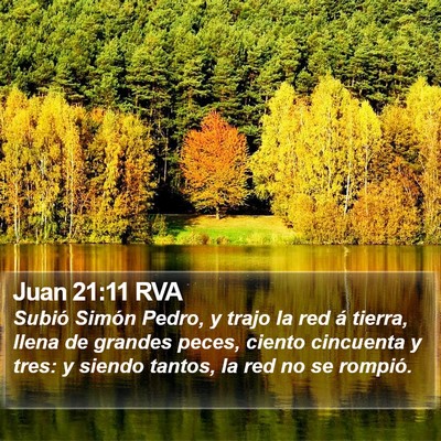 Juan 21:11 RVA Bible Verse Image
