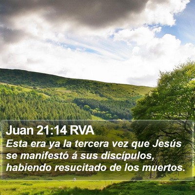 Juan 21:14 RVA Bible Verse Image