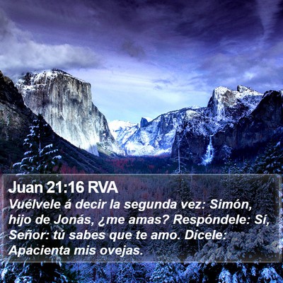 Juan 21:16 RVA Bible Verse Image