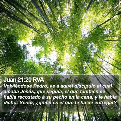 Juan 21:20 RVA Bible Verse Image
