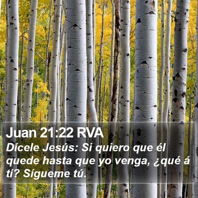 Juan 21:22 RVA Bible Verse Image