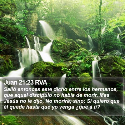 Juan 21:23 RVA Bible Verse Image