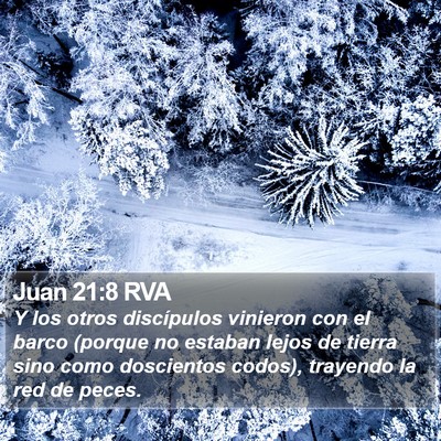Juan 21:8 RVA Bible Verse Image