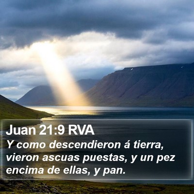 Juan 21:9 RVA Bible Verse Image