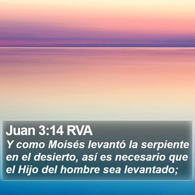 Juan 3:14 RVA Bible Verse Image
