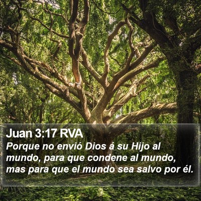 Juan 3:17 RVA Bible Verse Image