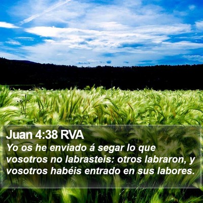 Juan 4:38 RVA Bible Verse Image
